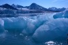 Svalbard Iceflow